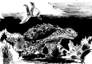 Autre version d'un dessin à l'encre de chine d'une petite tortue de mer et qui nage au millieu d'eaux sales.