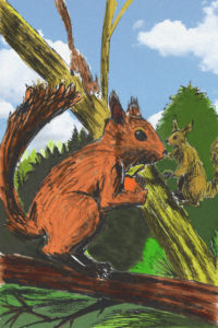 Deux écureuils, dessin à la palette graphique.