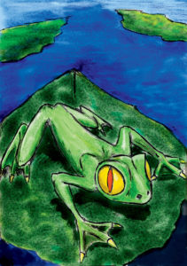 Une grenouille dans une marre (palette graphique et crayonné).
